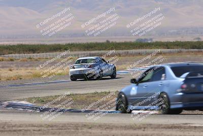 media/Oct-04-2025-OnGrid (Sat) [[44bd565ffa]]/Yellow Group/Grapevine/